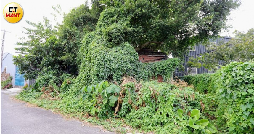 台北市竟有高達3.4萬棟建築沒有使用執照，成了妥妥的「幽靈房屋」。圖為台北市老宅示意圖。（示意圖／方萬民攝）