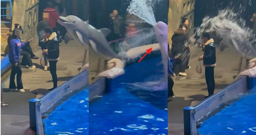 大陸一名男遊客在海洋館內吸菸，遭白鯨噴水懲罰。（圖／翻攝自微博／紅星新聞）