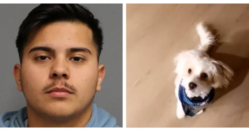 美國佛州警方逮捕涉嫌毒殺女友寵物犬的前警員。（圖／Hillsborough County Sheriff's Office）