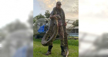 「蟒蛇獵人」激戰「5米巨蟒」!遭狠咬濺血 驚悚畫面曝光