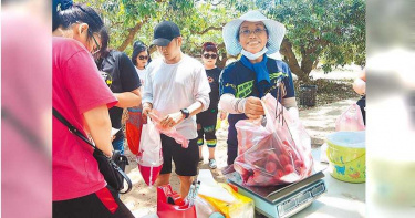 新北市府推荔枝節 剛開跑優惠券搶光光