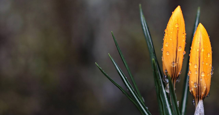 （示意圖／pixabay）