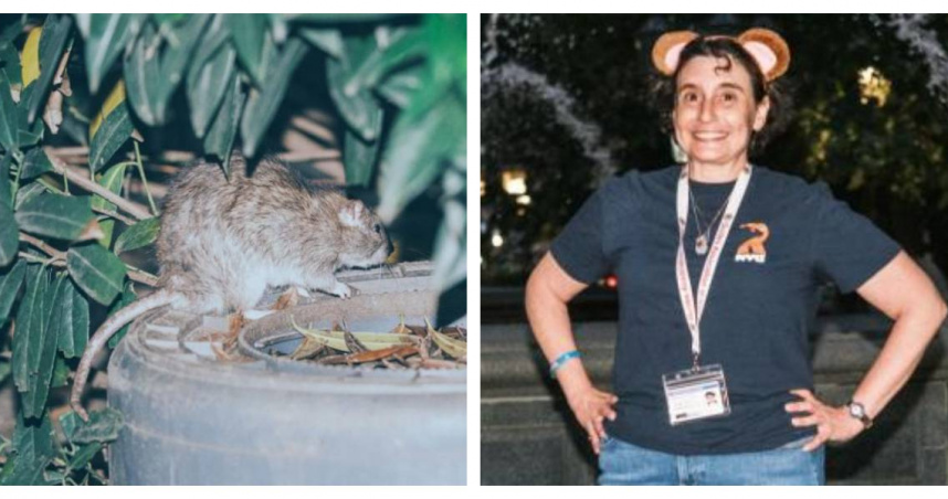 導覽員蘇珊萊斯曼戴著老鼠耳朵，帶領遊客實地走訪紐約鼠患熱區。（圖／翻攝自X）