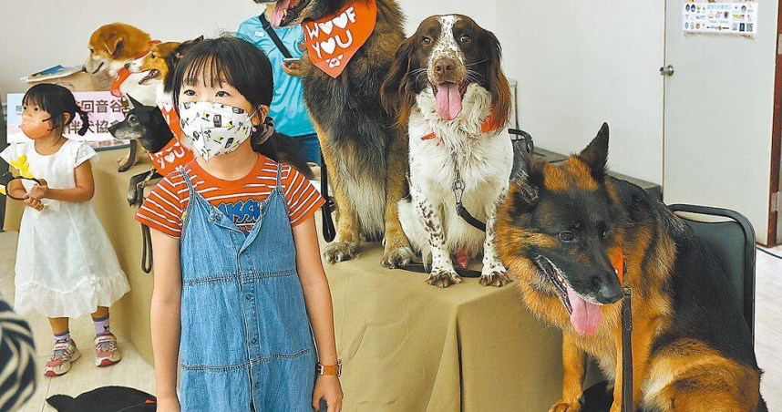 動保議題受社會關注，藍綠立委日前皆已提案修改《動物保護法》第25條規定，擬將虐待或虐殺動物的刑度和罰金提高。圖為宣導保護觀念的「國際同伴動物日活動」。（本報資料照片）