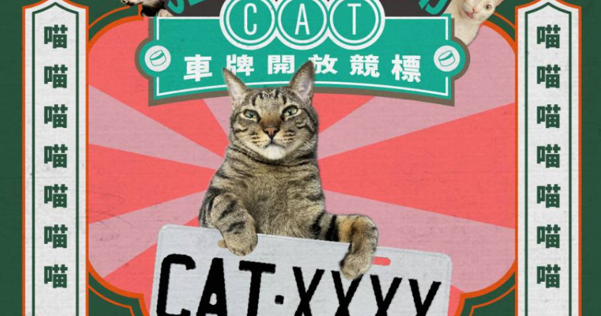 貓奴搶「CAT」車牌。（圖／交通部）