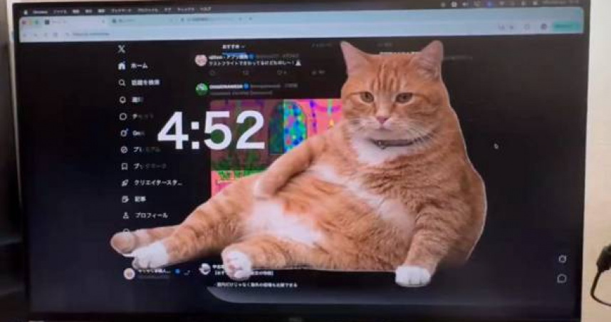 Chrome瀏覽器擴充功能「Cat Gatekeeper」近日爆紅，只要使用者滑社群太久，超肥橘貓就會現身霸佔螢幕，強制啟動休息模式。（圖／翻攝自X，@konekone2026，下同）