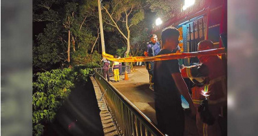 員林風港平台賞夜景 護欄太低連續2人墜谷