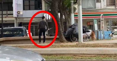 他開300萬奧迪!揮杖欺負街友流浪狗 遭肉搜是「心臟名醫」