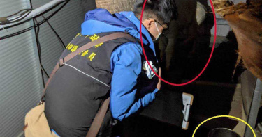 草泥馬凌晨露宿戶外!夜店疑虐待動物 台中動保處密切追蹤