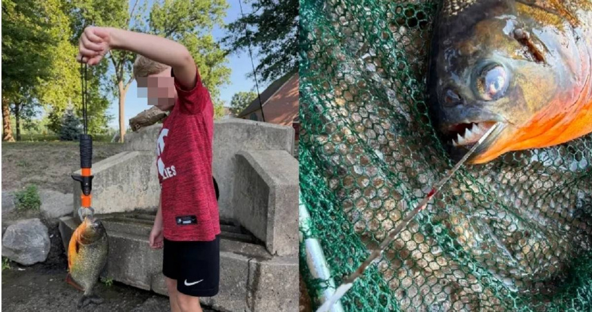 美國賓夕法尼亞州一名8歲男童湖邊釣魚，竟然釣到一條食人魚。（圖／翻攝自臉書／Mike Coffey）