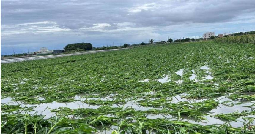 丹娜絲颱風重創中南部。（圖／報系資料照）