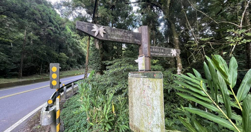 新北市警消30日獲報有3名登山客於坪林登山途中遭到蜂群螫傷。(圖／翻攝畫面)