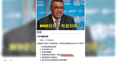 譚德塞怒斥受台灣攻擊 洪孟楷:柿子挑軟的吃