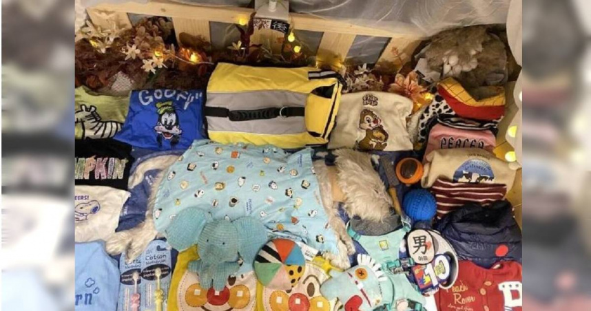 大陸北京一名女子Penny飼養13年的愛犬Papi疑被毒死，她辭職追兇3年討公道。（圖／翻攝自微博／極光新聞）