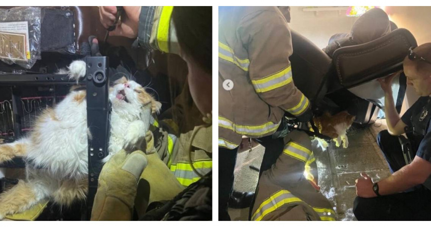 橘貓卡在金屬支架間露出驚恐表情，等待救援。（圖／翻攝自IG，@overlandparkpolice）