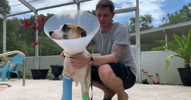 竟敢攻擊我愛犬? 前美軍參謀長超悍「搏鬥鱷魚」:猛敲牠頭