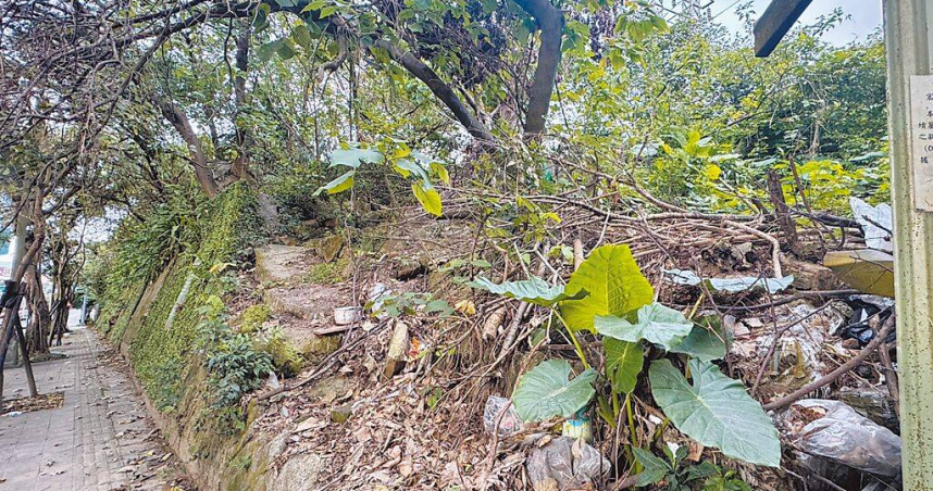 新北土城區土地公山遺址2007年被登錄為市定考古遺址，範圍約1萬坪，計畫建成公園已久，不過多年來未有具體規畫，土地雜草叢生。（圖／中國時報柯毓庭攝）
