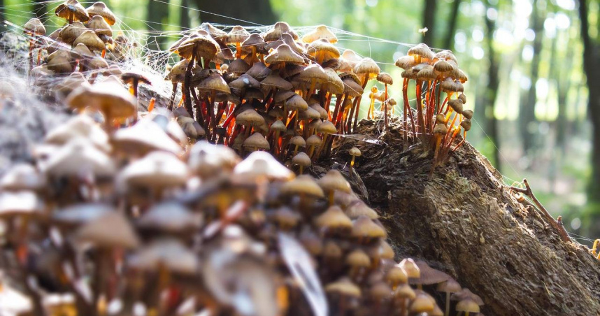 （示意圖／Pixabay）