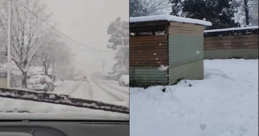 （圖／翻攝自社群網站X）