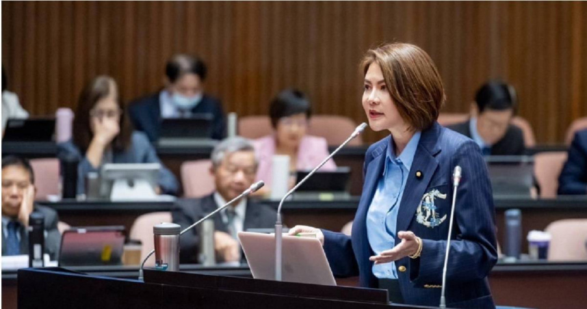 陳菁徽直言，原來只要有黨當靠山、有補助，連大自然的綠色都可以有碰不得的著作權？是不是在暗示只要顏色對了（綠色），什麼都可以是對的？（圖／報系資料庫）