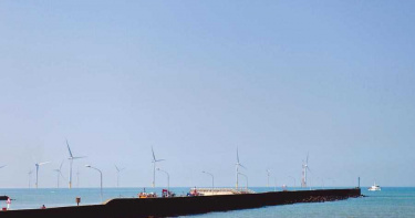 竹南後龍外海設69座海風電場 烏魚捕獲量剩3分之1
