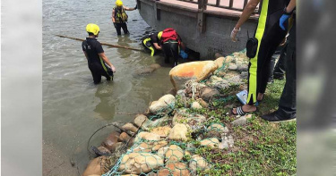 淡水河釣客半顆腐壞人頭疑北市技工遺骸 屍首破碎將比對DNA確認身分