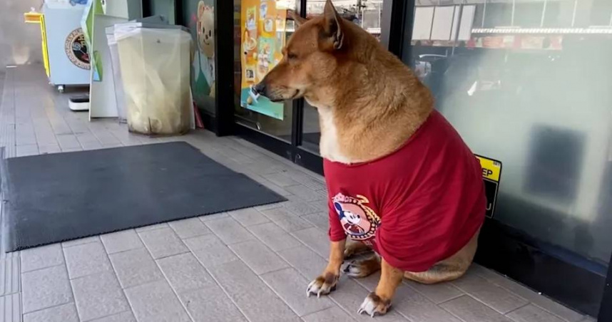 （圖／翻攝自社群網站X）