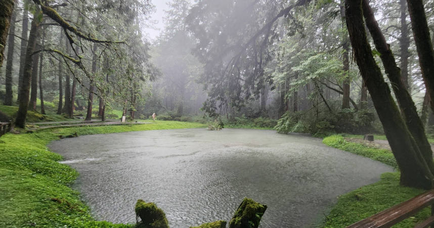 遊客怒轟阿里山國家森林遊樂區山上飯店不退費。（圖／翻攝自臉書＠AlishanForest）