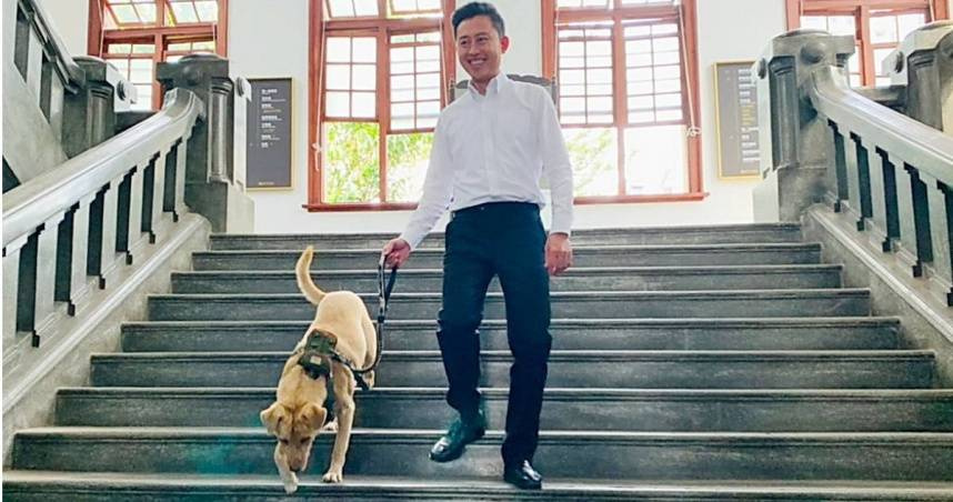 棕棕曾是新竹市府的代言市府犬，卻任職不到一年的時間就被退回收容所。（圖／報系資料照）