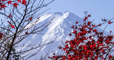 日本航線團費較去年同期上漲約7%至10%。（示意圖／取自pexels）