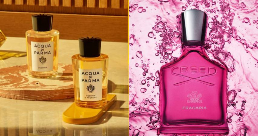 （圖／品牌提供）