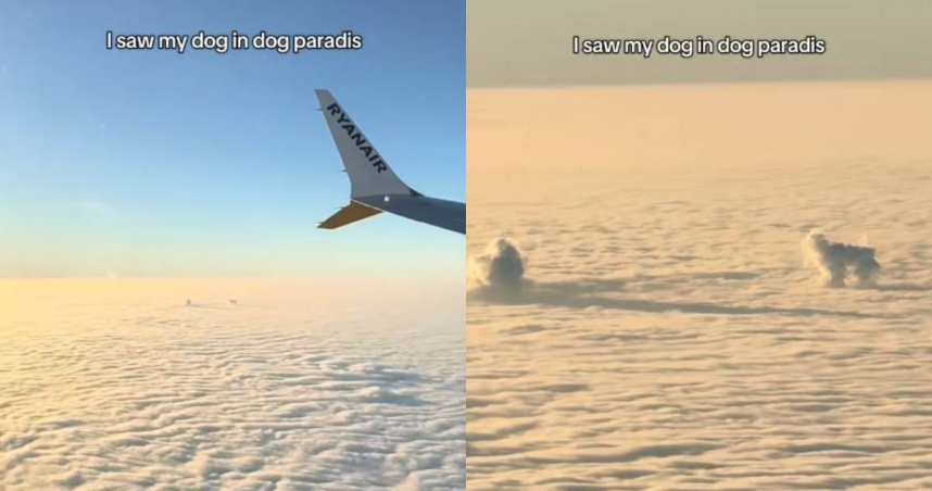 國外一名女飼主在搭飛機時，看見雲海上的「狗狗雲」，讓她不禁想起已故的愛犬。（圖／翻攝自TikTok／charlottemaltaparty）