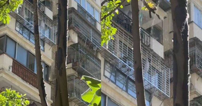 有大陸民眾近期在樹下乘涼，以為被冷氣水滴到，仔細看竟是蟬在尿尿，量多到像是在下「蟬尿雨」。（圖／翻攝自微博）