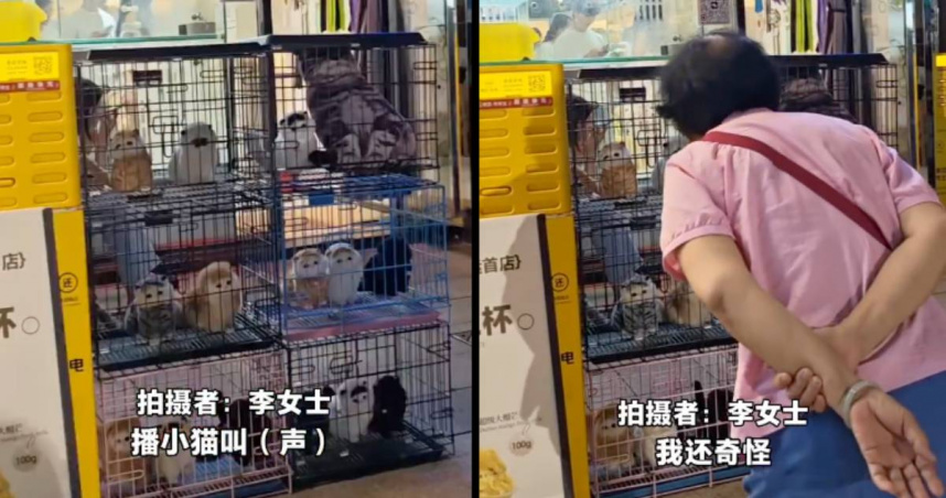大陸廣州一家寵物店拒絕真貓展示，用真貓加音響，吸引路人圍觀。（圖／翻攝微博）