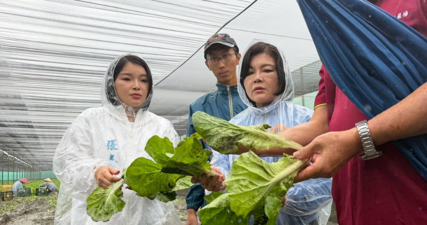 雲林縣長張麗善前往西螺鎮、二崙鄉等主要蔬菜產區勘查災情。（圖／翻攝自臉書，張麗善）