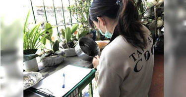 驚爆首起本土群聚感染!桃園母子接連染登革熱 籲加強環境清潔