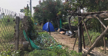 7旬老翁久病厭世 離家一夜田地自焚亡