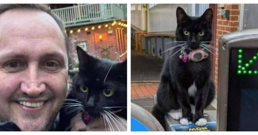 英國一隻貓咪日前獨自搭乘火車完成了長達28.5公里的旅程。（圖／翻攝自X）