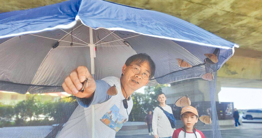 今年從南部往北部遷徙的紫斑蝶速度早但數量少，圖為台灣紫斑蝶保育協會理事長陳瑞祥今年3月間在林內鄉一處蝶帳內為小朋友解說。（圖／報系資料照）