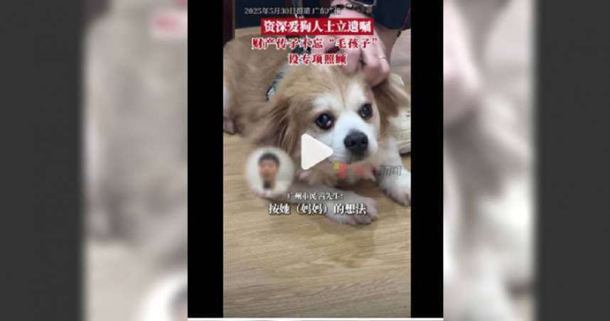 她留45萬給狗：牠們是唯一不離開我的家人。（圖／翻攝自微博）