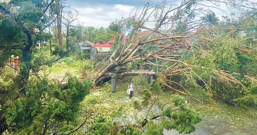 後壁區台南教養院在丹娜絲颱風受重創，院長吳慧君拍下7日第一時間的災情，形容有如世界末日。（圖／吳慧如提供／中國時報程炳璋台南傳真）