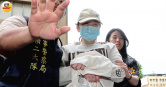 太陽花女神劉喬安遭新北檢聲押禁見。（圖／周志龍攝）