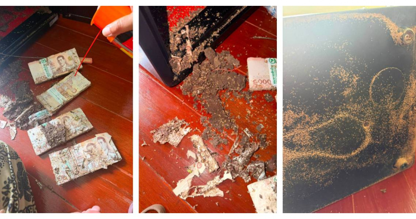 泰國女子將現金存放保險箱，沒想到竟遭白蟻入侵啃食，準備繳房貸的積蓄幾乎全毀。（圖／翻攝自臉書，Nanny Irin）