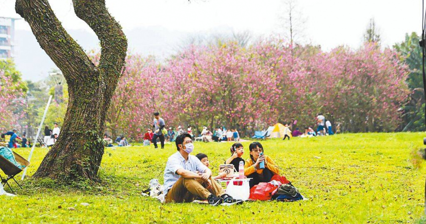 三峽碧螺春產季將至，新北市農業局邀請民眾3月15、16日到國立台北大學三峽校區心湖旁大草坪野餐。（圖／新北市農業局提供／中國時報陳慰慈新北傳真）