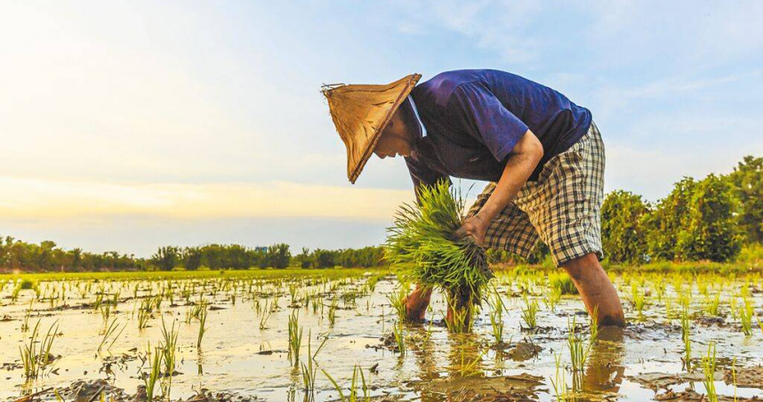 過去10年，我國農保人數減少近百萬人，總醫療費用卻維持在1000億元左右，其中腎臟疾病數十年來皆為支出第一。示意照，非新聞事件當事人。（圖／報系資料照）