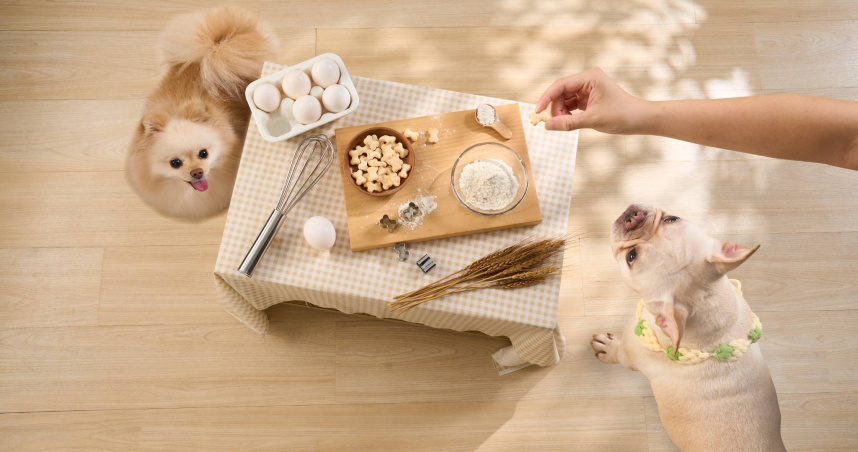 飼主可使用「寵物烘焙DIY預拌粉」親自下廚，為毛孩製作美味點心。（圖／聯華製粉提供）