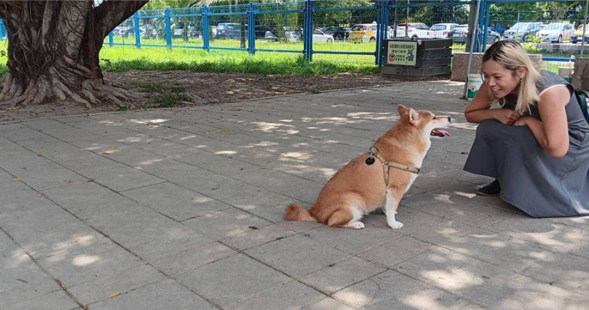 8月26日為「國際狗狗日」，新北市高灘處特別邀請愛爸愛媽們，把握這一天帶著毛寶貝走出戶外，到離家最近的寵物公園共享專屬毛孩的美好時光。（圖／新北市高灘處提供）