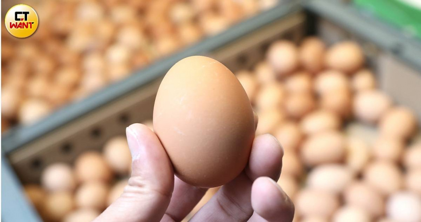 蛋價26日起每斤調漲3元。（示意圖／侯世駿攝）