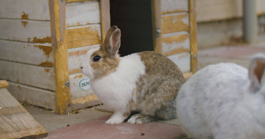 （示意圖／Pexels）