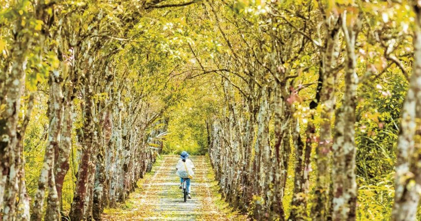 平日國旅來花蓮最划算，住越多省越多。（圖片提供／花蓮縣政府）